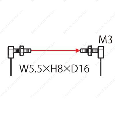 FT-31